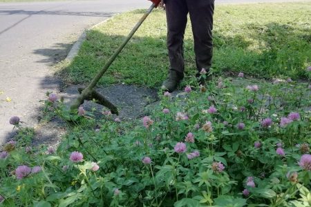 Ragadós a jó példa, újabb közös városszépítés lesz