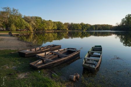 Május végéig tilos pontyot és harcsát fogni a Mártélyi Holtágnál