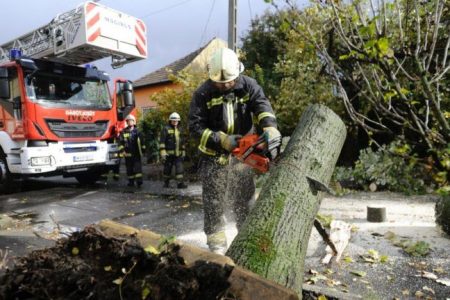 Lehasadt ág akadályozta a forgalmat az Erzsébeti úton