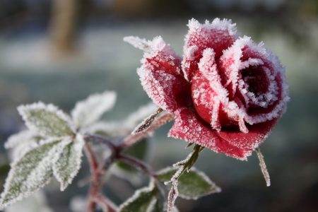 -8 fokot is mértek ma reggel