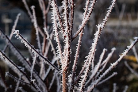 -10 fokot jósolnak a következő vásárhelyi hajnalokra
