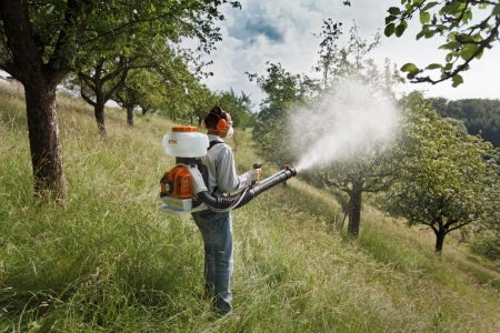Jövő héten permeteznek Hódmezővásárhelyen