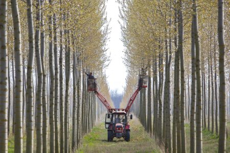 Lázár János vadásztársának érdekeltségébe tartozó cég 191 milliót nyert erdősítésre