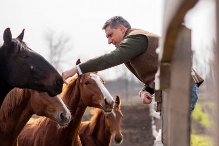 Még nincs is bejegyezve az alapítvány, amihez a Lázár János felügyelte ménesbirtok kerül