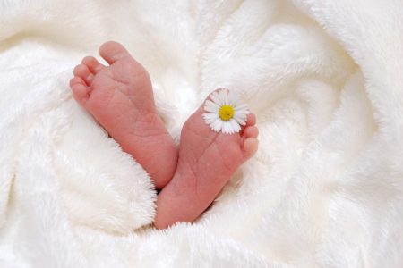 16 újszülött, 2 esküvő Vásárhelyen