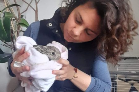 Nem teszek olyat, amit ne tehetne meg bárki, csak nem tesz meg mindenki – Dorka még macskákkal érkező háborús menekülteket is befogadott néhány napra Vásárhelyen
