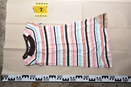 Két millió forintos díjkitűzést tett a rendőrség a tótkomlósi csecsemőgyilkosság ügyében