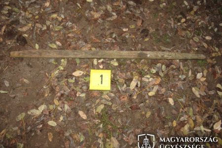 Fejbe verte a kertje alatt elhaladó illegális határsértőt