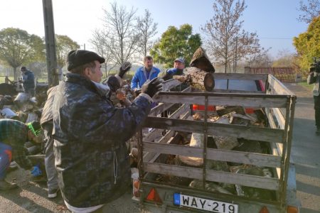 Csütörtöktől igényelhető a szociális tűzifa és a karácsony előtti támogatás