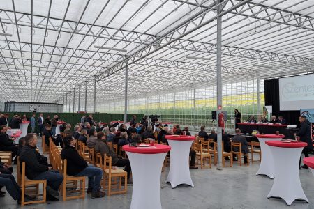 Két 4 hektáros üvegházat adták át Szegváron