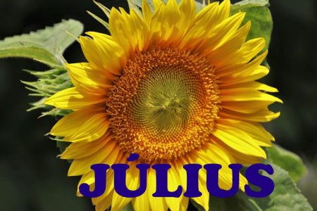 Összefoglaló a hivataltól: július