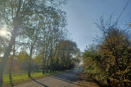 15 helyen dőlt meg a melegrekord, Sellyén 18,9 fokot mértek