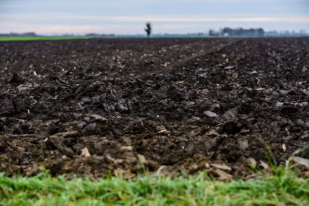 Visszavonta a települési adót Vásárhely, amelyet a földjeiket bérbe adók fizettek volna