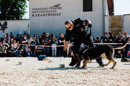Rendőr- és a tűzoltónapot tartottak a Szegedi Vadasparkban