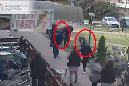 Gyámügyeseket biztosító rendőrökre támadtak a szülők – videóval