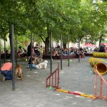 IMG_3424 másolata