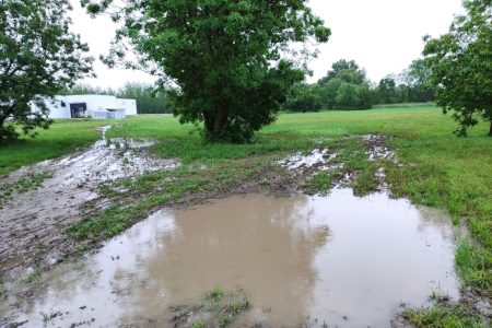 Elmosta az eső a Magyar Vargas Nagycirkusz vásárhelyi előadásait