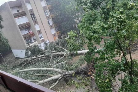 Már 180 riasztást kaptak a tűzoltók Csongrád-Csanádban