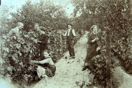 A szőlőtermesztésről – a könyvtárban