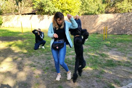 Oszkár is táncra perdült a felújított Tóalj utcai kutyafuttatóban