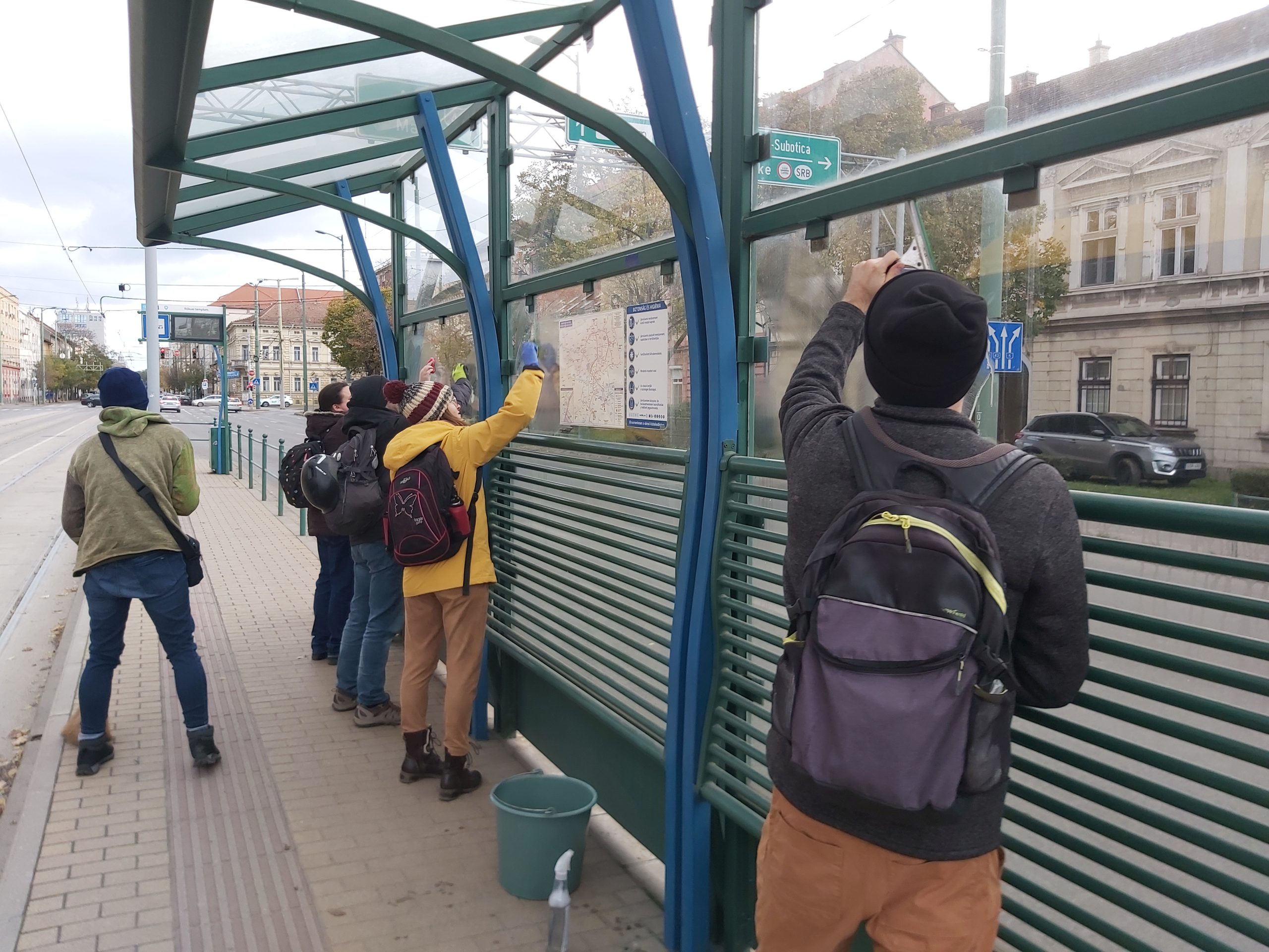 kutyapárt tramtrain takarítás (3)