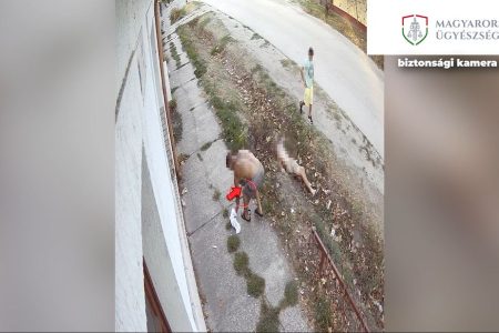 3000 forint és egy telefon volt a rabló zsákmánya – videóval