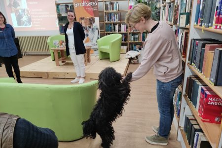 A gazdin múlik a kutyája viselkedése