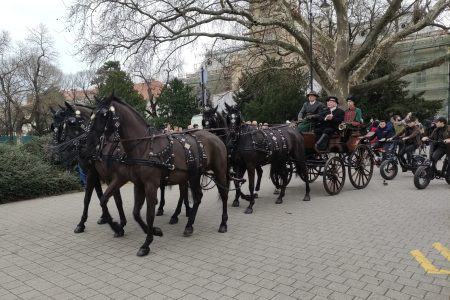 Szemet gyönyörködtető lovak és színpompás fogatok a Kossuth téren