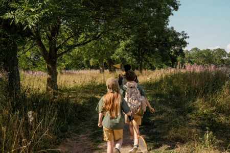 Új táborokkal is készül az idei nyárra a BFMK