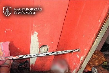 Ellenállt az intézkedő rendőröknek, egy padláson bújt el