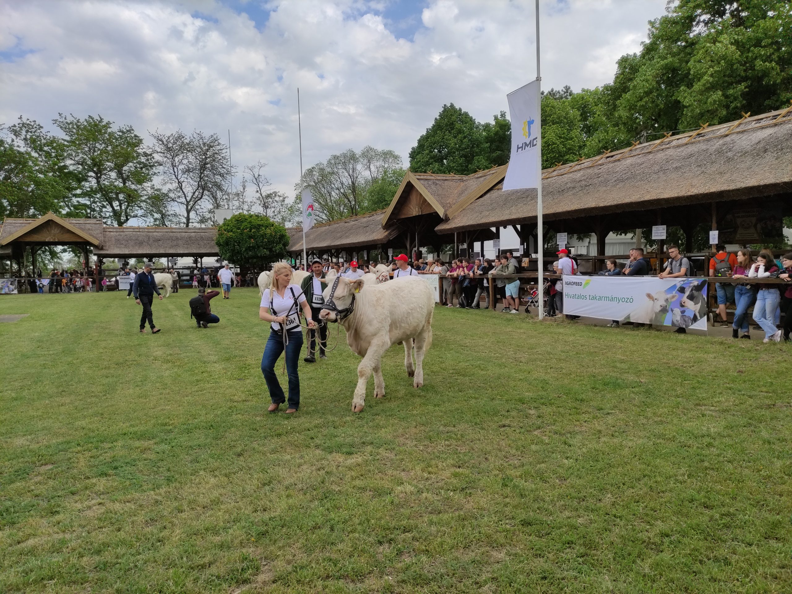 állattenyésztési napok megnyitó (124)