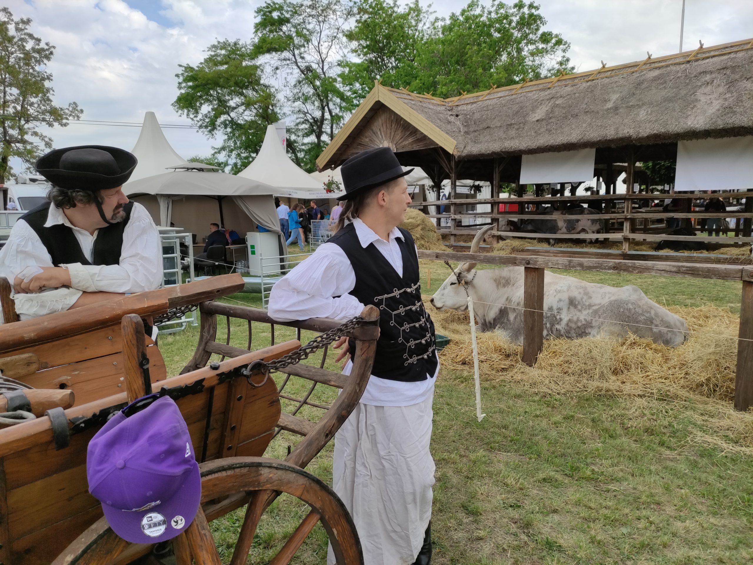 állattenyésztési napok megnyitó (140)