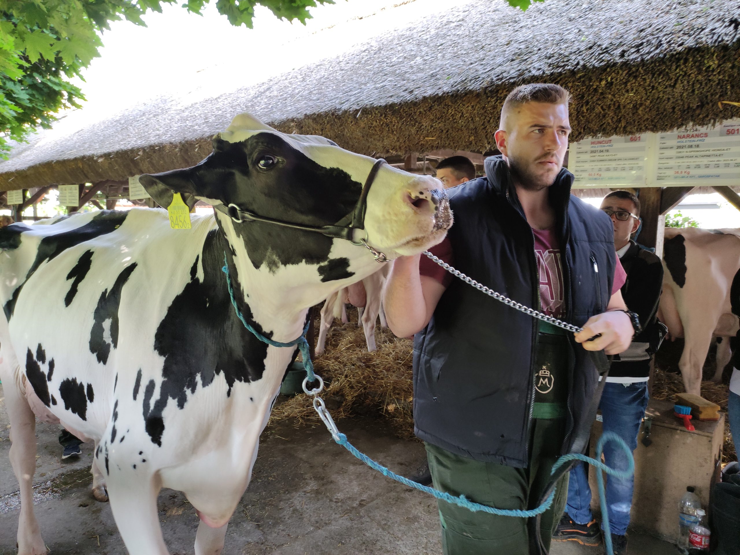 állattenyésztési napok megnyitó (6)