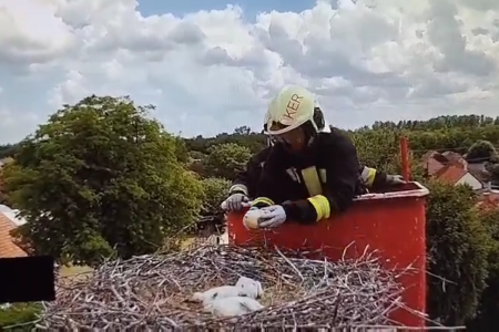 Gólyafiókákat mentettek a tűzoltók – videó