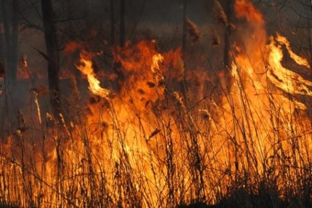 Marosleléhez riasztották a vásárhelyi tűzoltókat
