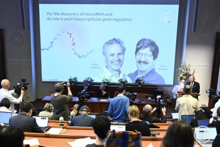 A mikro-RNS felfedezéséért járt idén az orvosi Nobel-díj