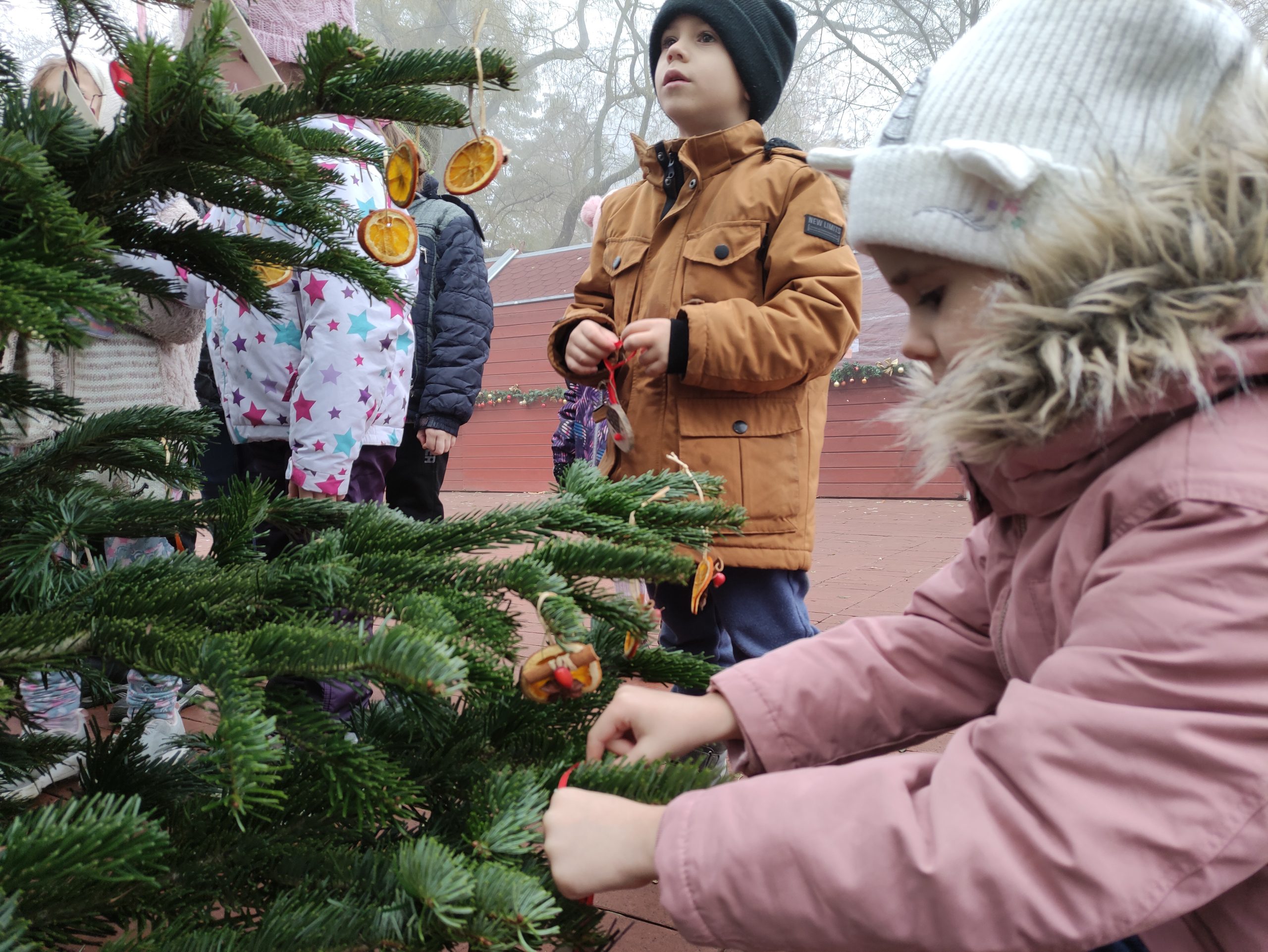 Óvodások díszítik a Kossuth téri fenyőket (16)