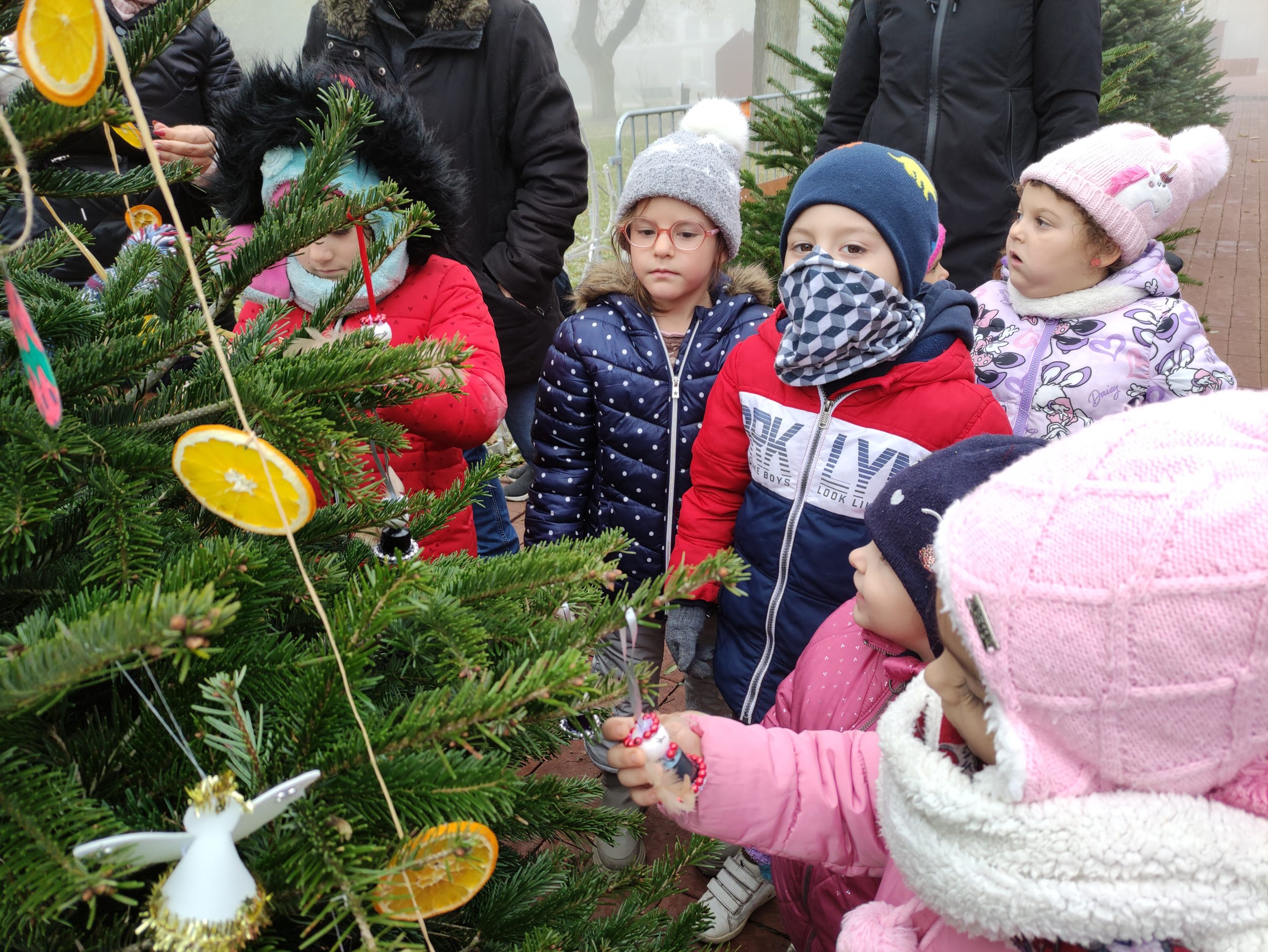 Óvodások díszítik a Kossuth téri fenyőket (27)