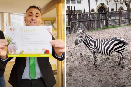 Gáspár Győző egy nap alatt teljesítette a miniszterelnök személyes megbízását