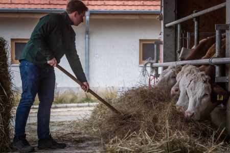 Szlovákia lezárja a kishatárátkelőket a magyar és az osztrák határon a ragadós száj- és körömfájás miatt