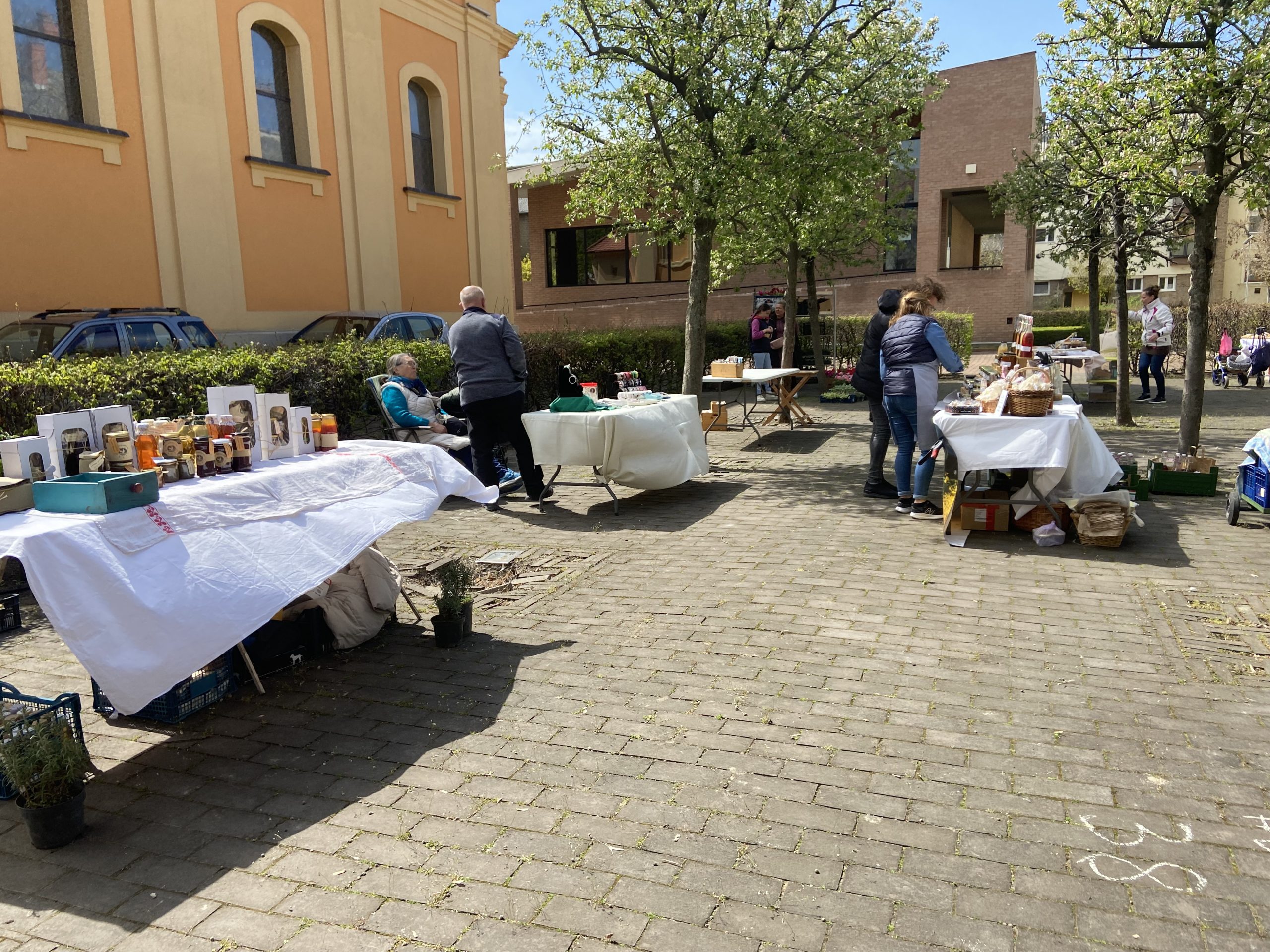 IMG_0381