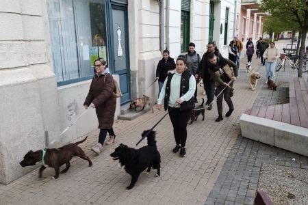 Húsvéti jótékonysági kutyasétáltatást rendeztek Vásárhelyen